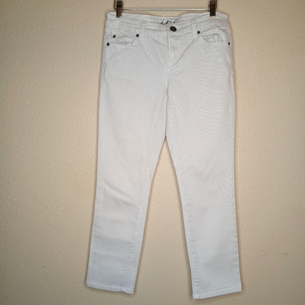 Ink Denim Skinny Leg Regular Fit Crop Size 4 Pants White Gray Stripes